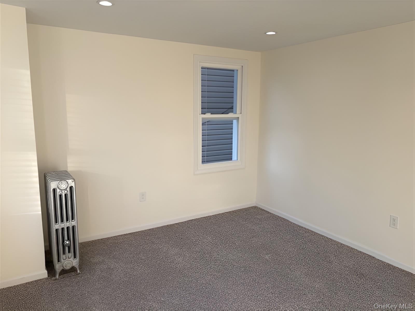 Single Family Sutter Avenue Queens, NY 11420, MLS-1013022-31