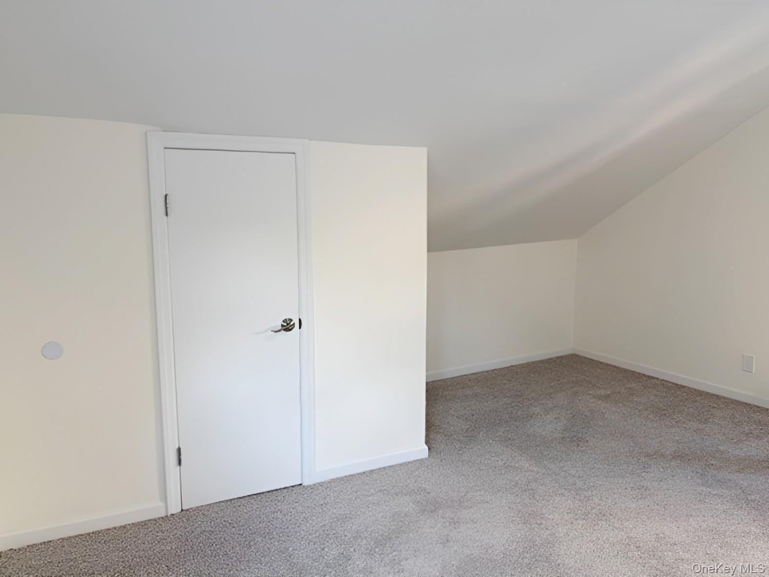 Single Family Sutter Avenue Queens, NY 11420, MLS-1013022-36