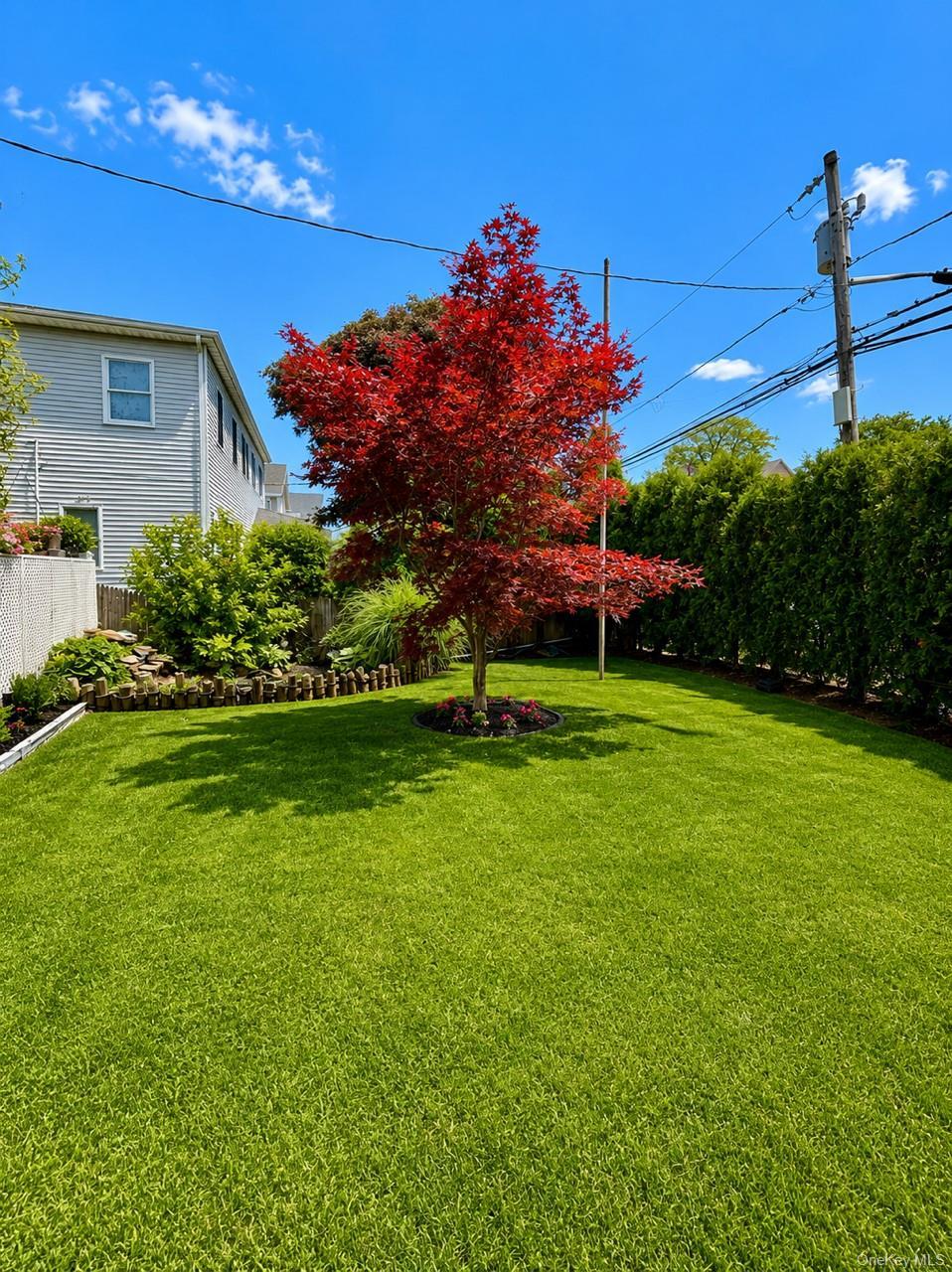 Single Family Roosevelt Avenue Nassau County, NY 11096, MLS-1013035-21