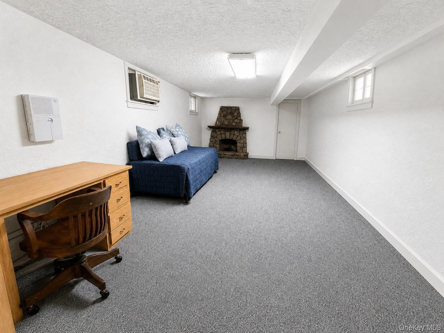 Single Family E 28th Street Brooklyn, NY 11210, MLS-1013046-11