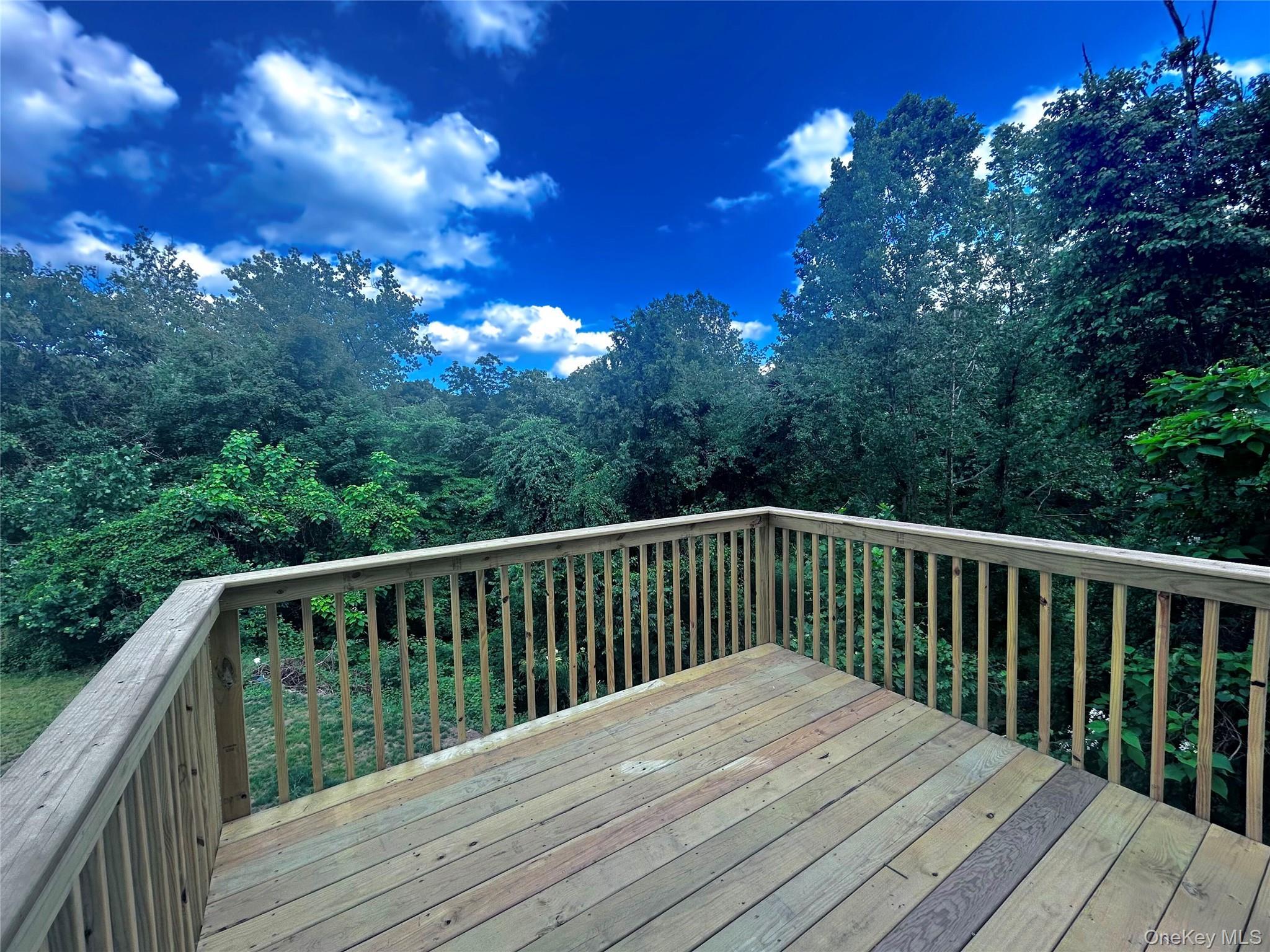 Single Family Joseph Street Rockland County, NY 10993, MLS-1013065-2