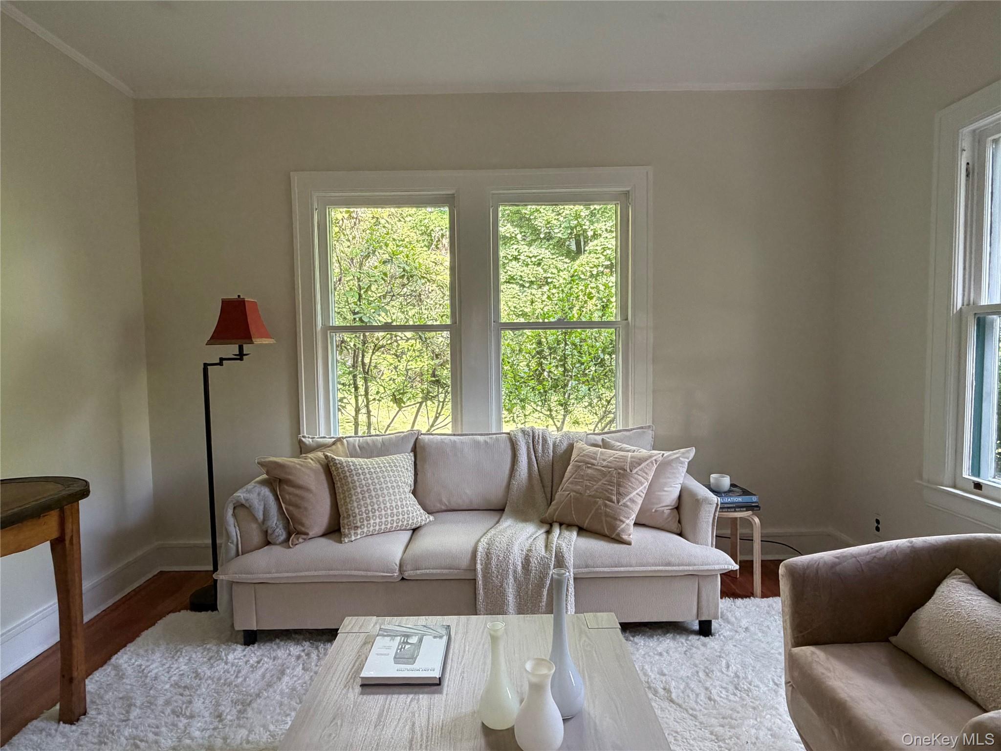 Single Family Rte. 209 Ulster County, NY 12484, MLS-1013068-25