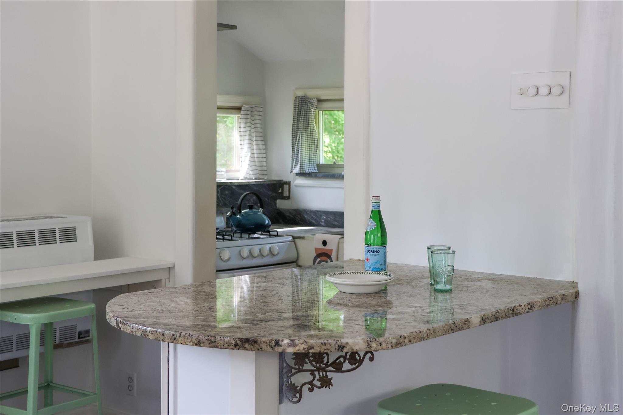 Single Family Rte. 209 Ulster County, NY 12484, MLS-1013068-43