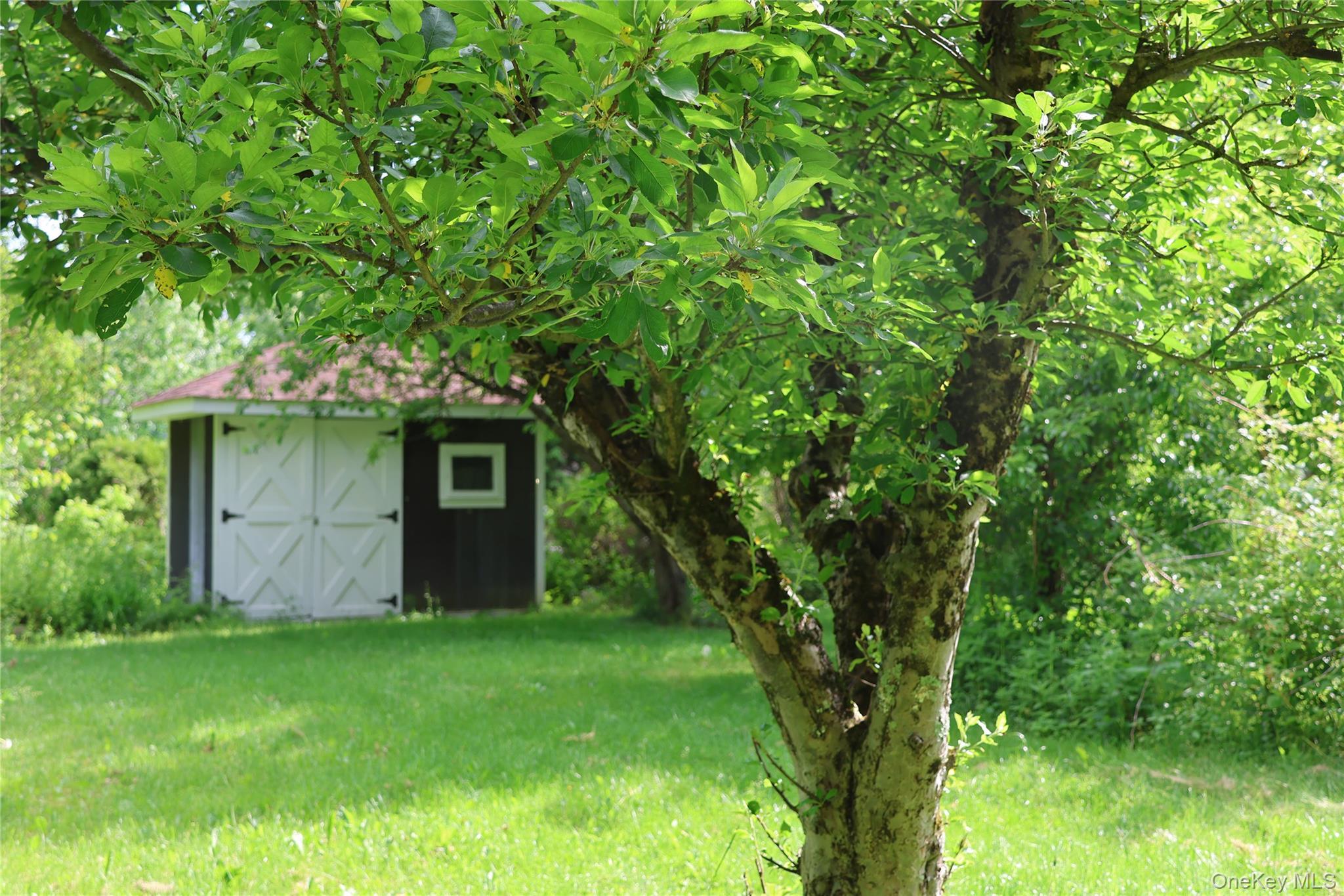 Single Family Rte. 209 Ulster County, NY 12484, MLS-1013068-5