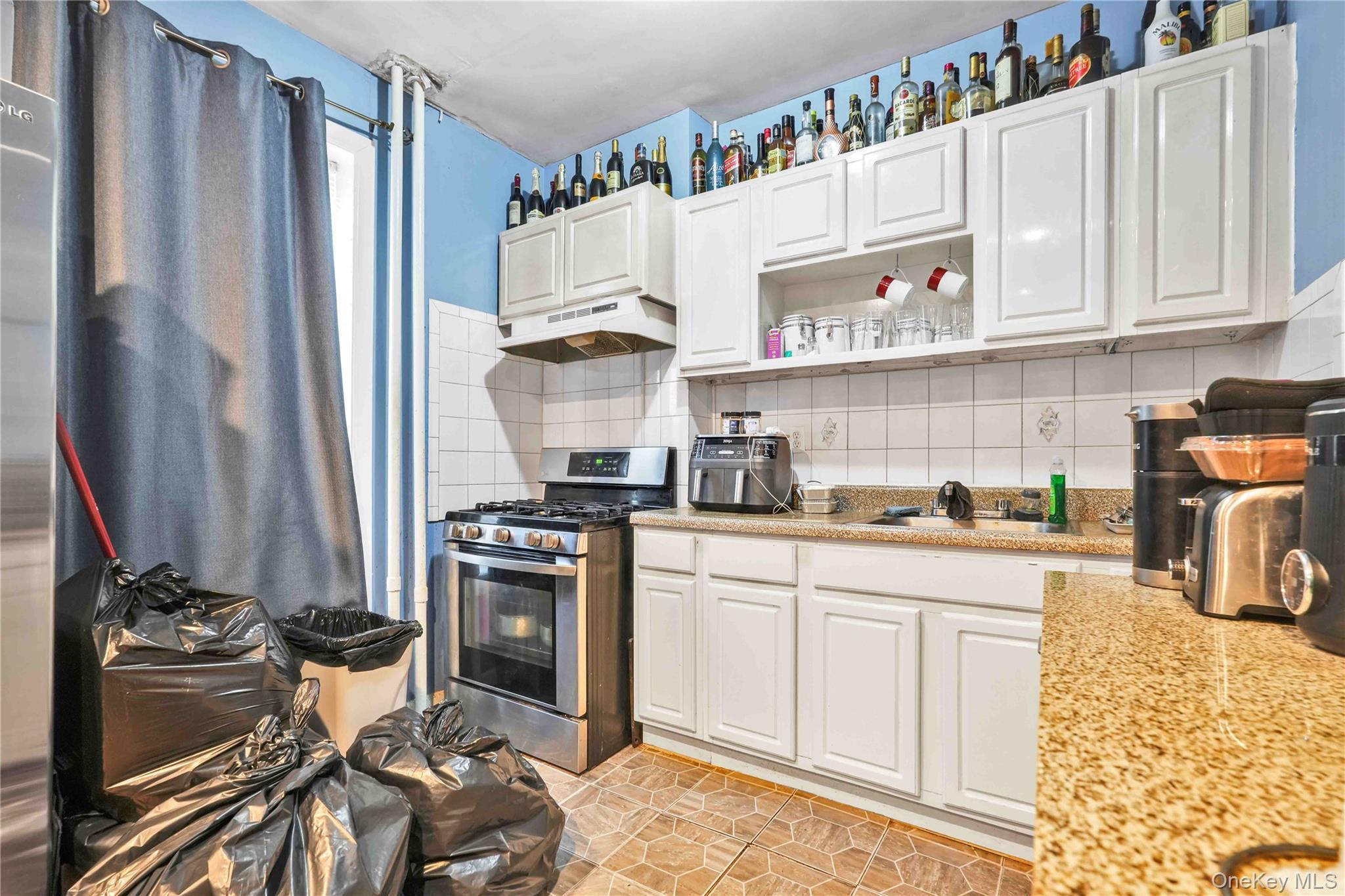 Single Family Hale Brooklyn, NY 11208, MLS-1013148-10