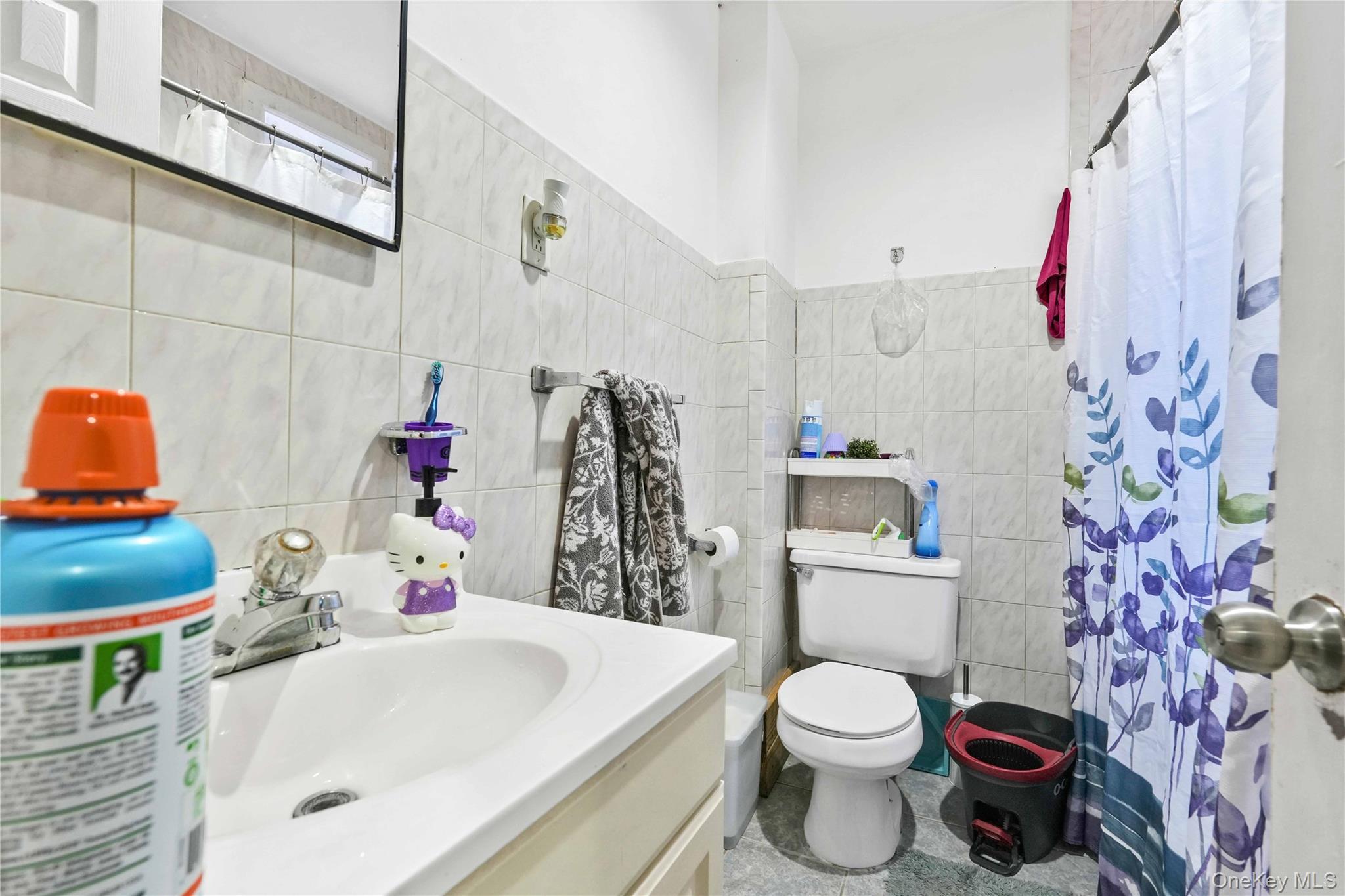 Single Family Hale Brooklyn, NY 11208, MLS-1013148-22