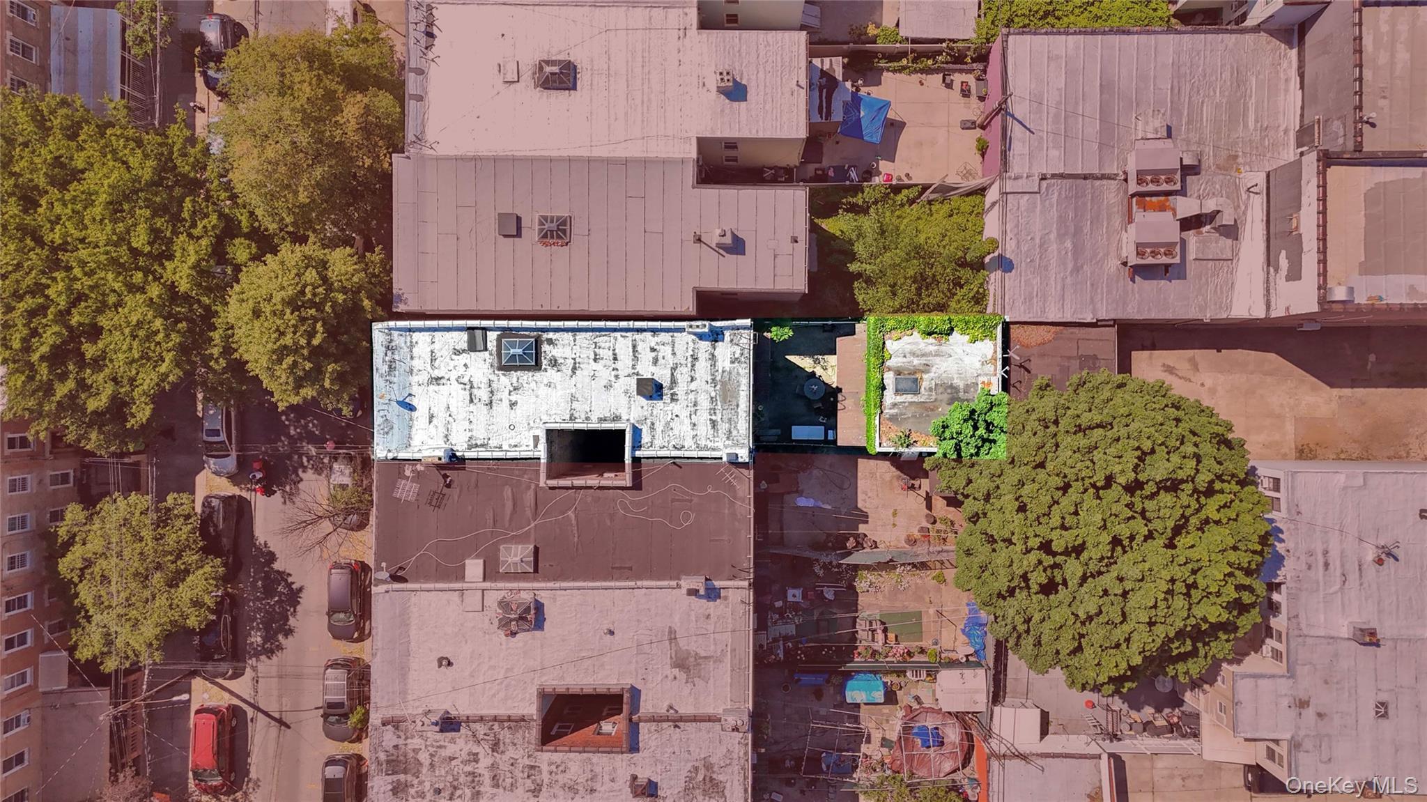 Single Family Hale Brooklyn, NY 11208, MLS-1013148-46