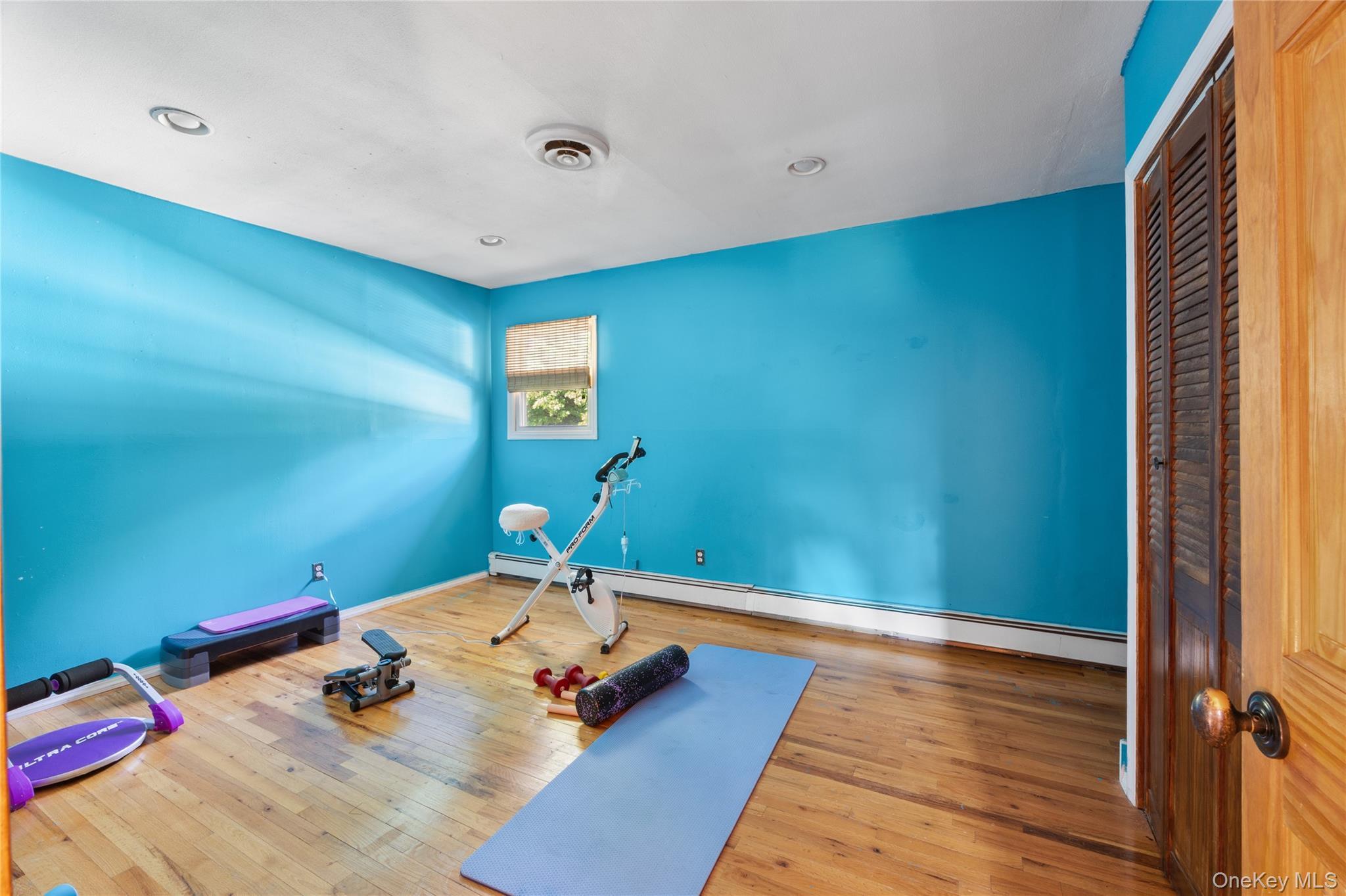 Single Family Brunswick Road Suffolk County, NY 11779, MLS-1013178-18