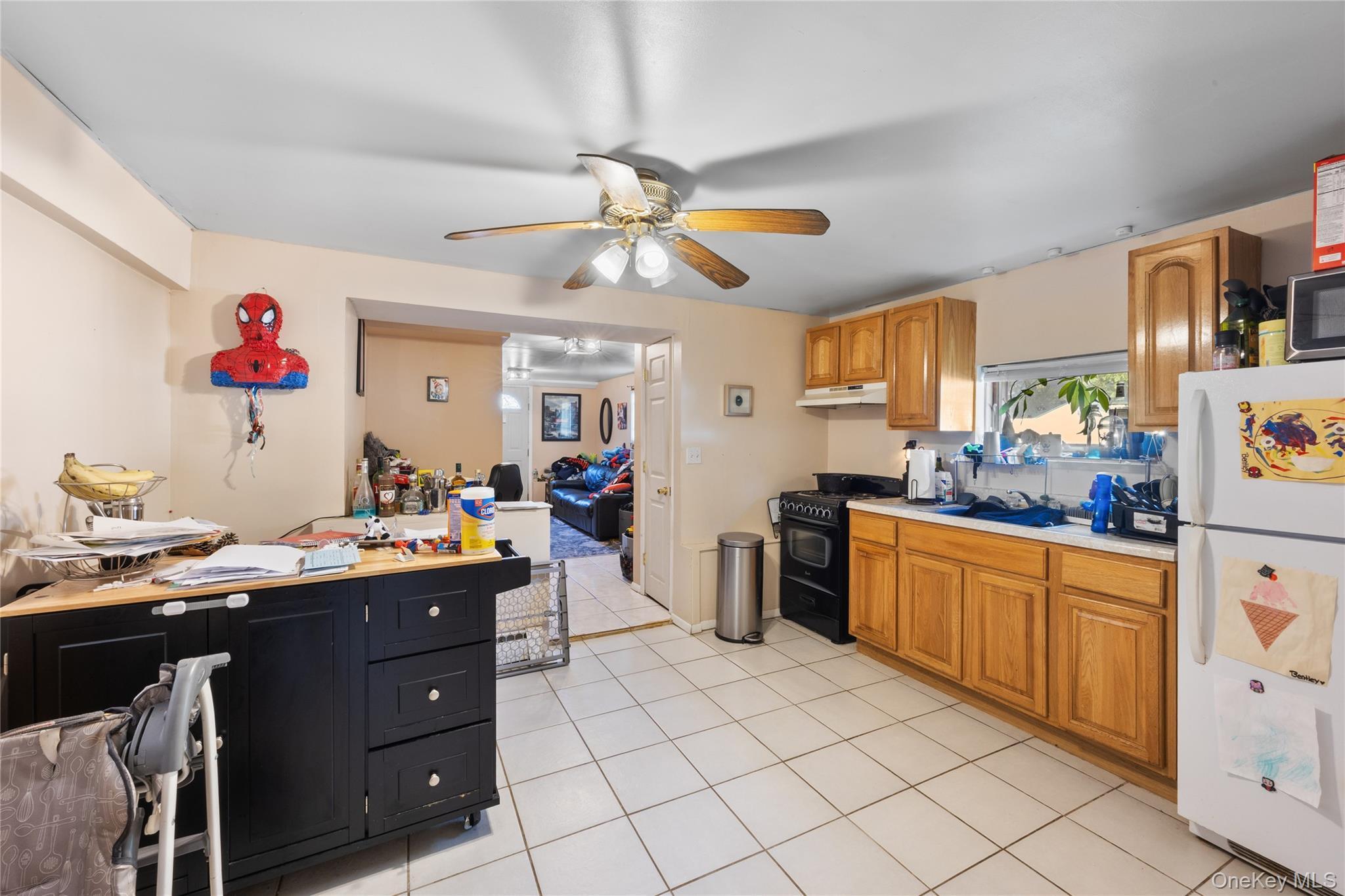 Single Family Brunswick Road Suffolk County, NY 11779, MLS-1013178-23