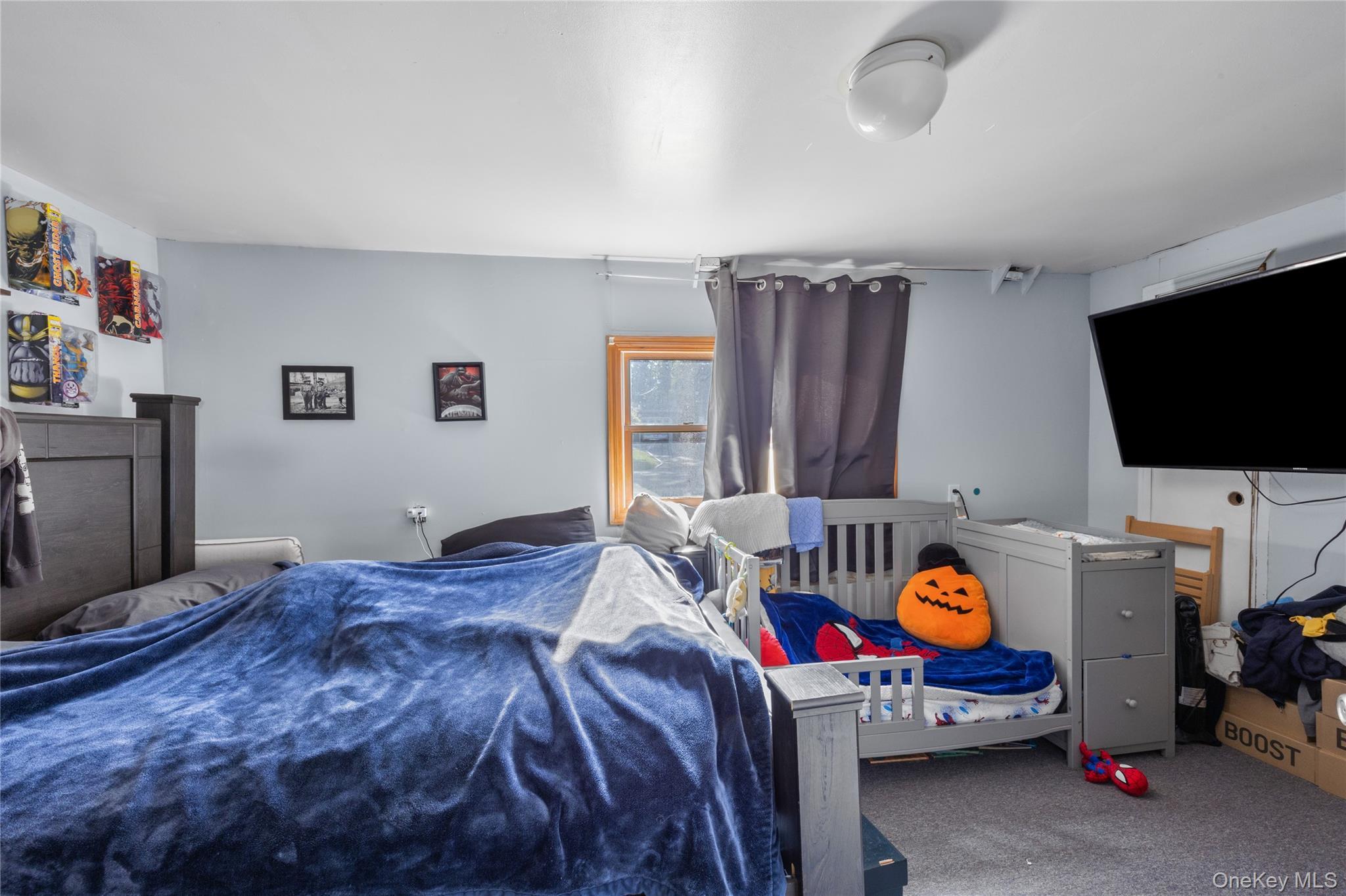 Single Family Brunswick Road Suffolk County, NY 11779, MLS-1013178-25
