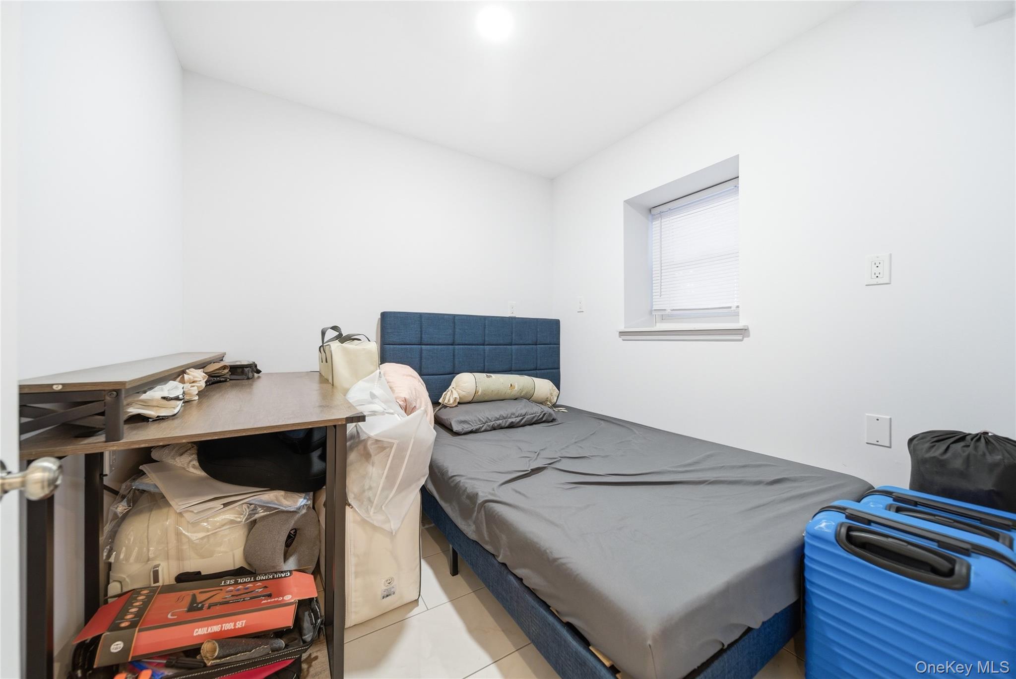 Single Family 62nd Street Queens, NY 11378, MLS-1013189-16