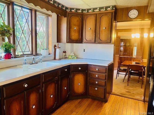 Single Family Babbage Queens, NY 11418, MLS-1013230-10
