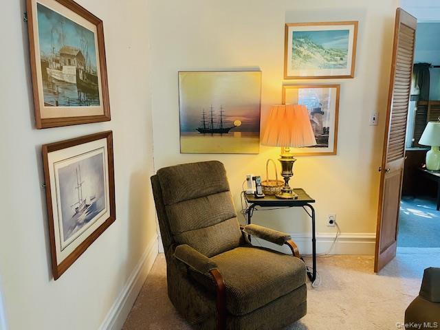 Single Family Babbage Queens, NY 11418, MLS-1013230-20