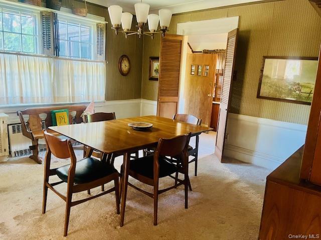 Single Family Babbage Queens, NY 11418, MLS-1013230-24