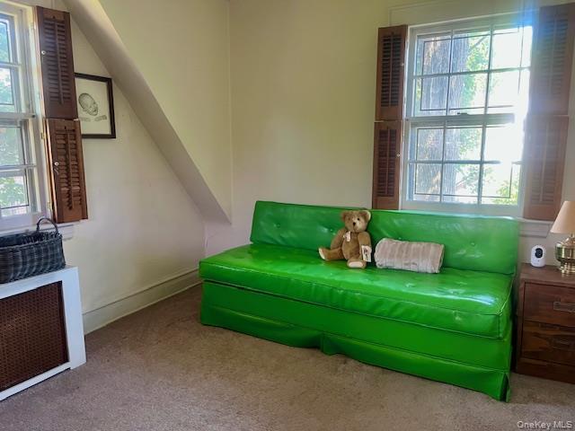 Single Family Babbage Queens, NY 11418, MLS-1013230-25