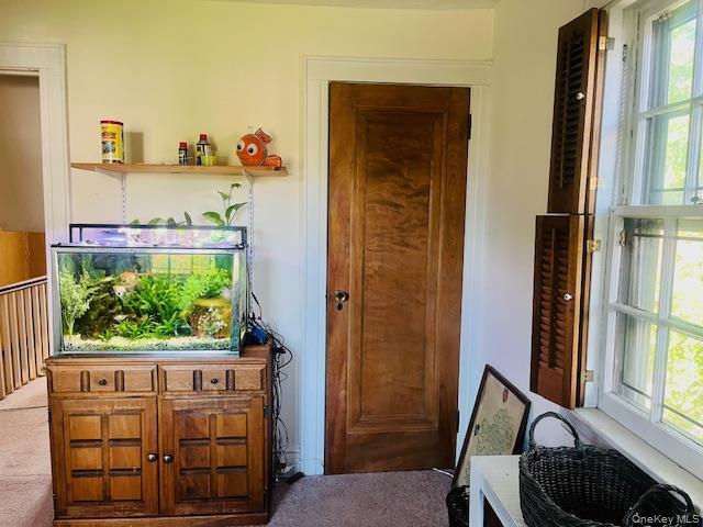 Single Family Babbage Queens, NY 11418, MLS-1013230-26