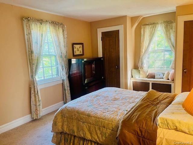 Single Family Babbage Queens, NY 11418, MLS-1013230-27