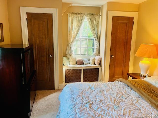 Single Family Babbage Queens, NY 11418, MLS-1013230-28