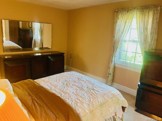 Single Family Babbage Queens, NY 11418, MLS-1013230-29