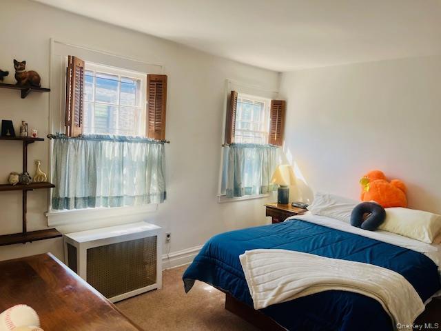 Single Family Babbage Queens, NY 11418, MLS-1013230-30
