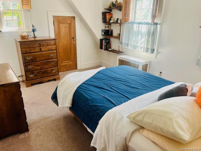 Single Family Babbage Queens, NY 11418, MLS-1013230-31