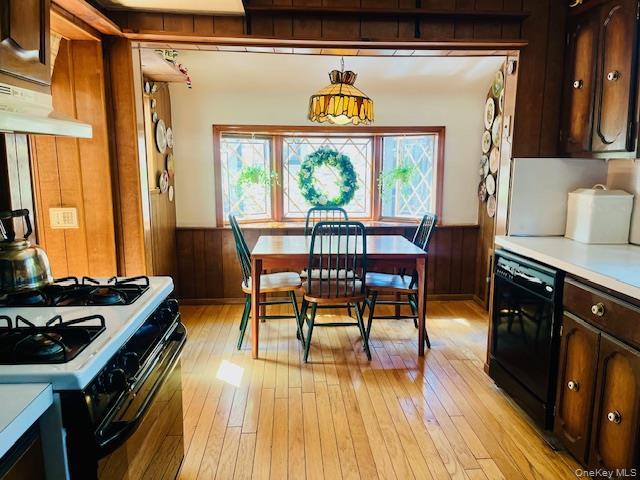 Single Family Babbage Queens, NY 11418, MLS-1013230-8