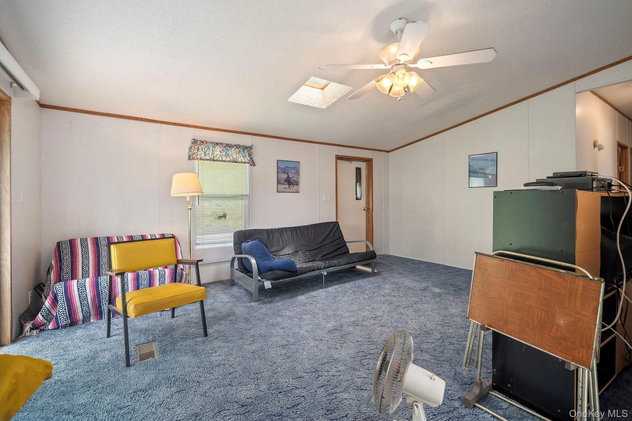 Single Family Grassy Out Of Area, NY 12131, MLS-1013256-10