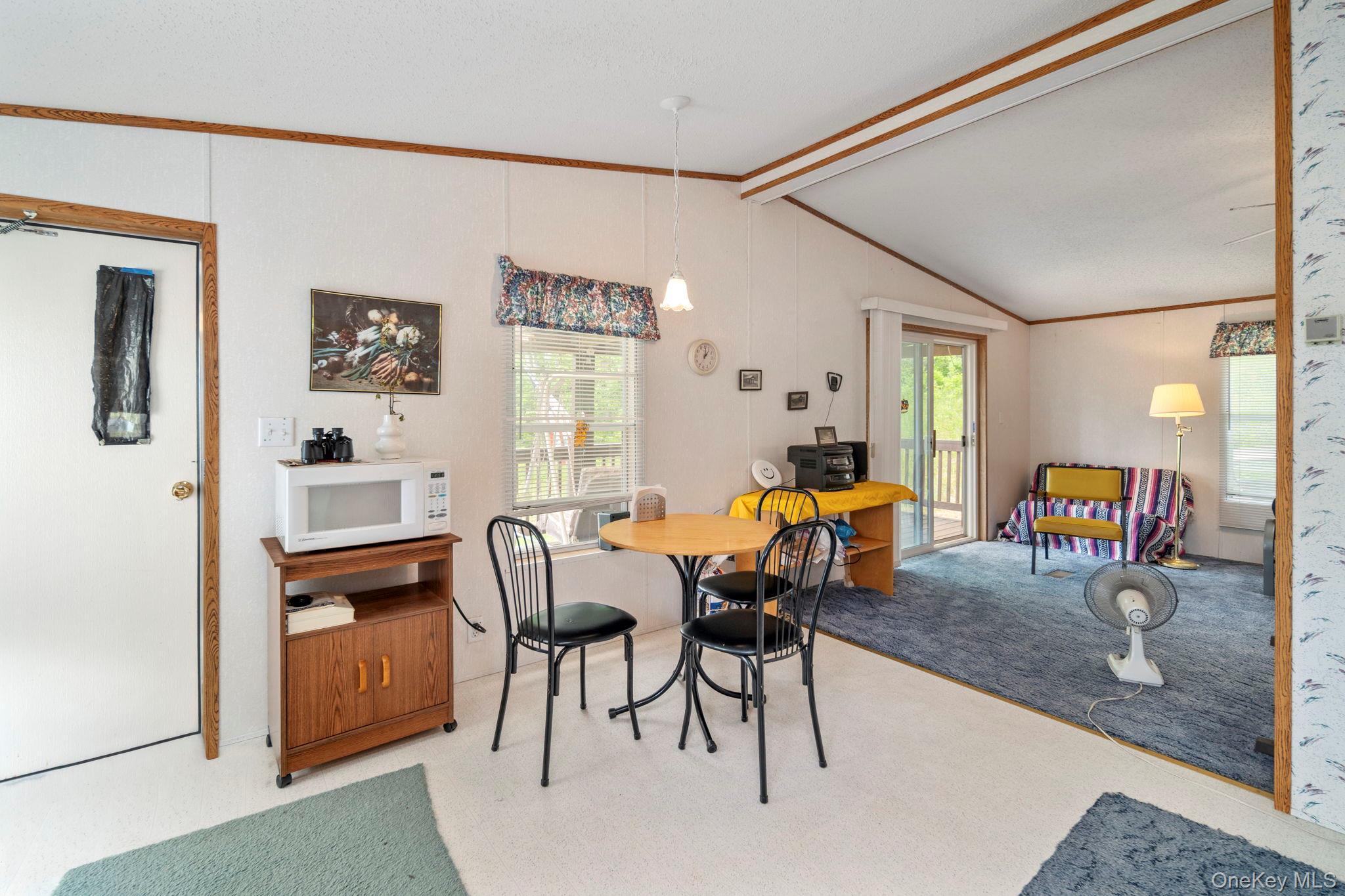 Single Family Grassy Out Of Area, NY 12131, MLS-1013256-12
