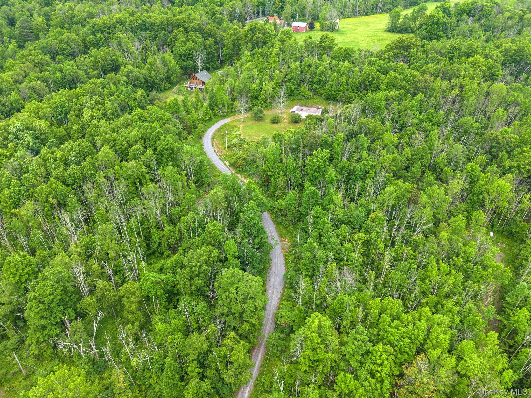 Single Family Grassy Out Of Area, NY 12131, MLS-1013256-2