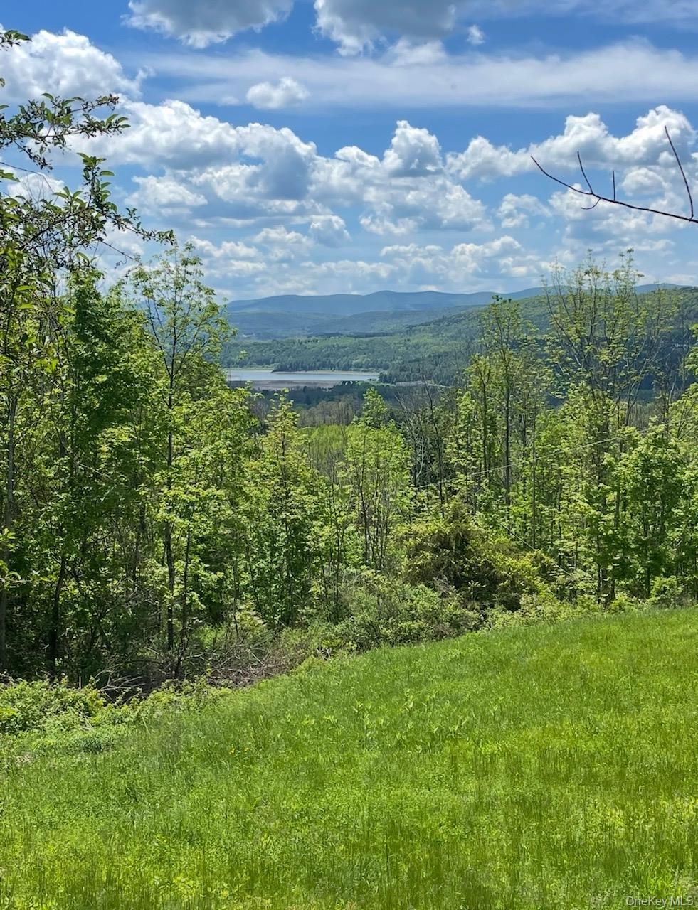 Single Family Grassy Out Of Area, NY 12131, MLS-1013256-3