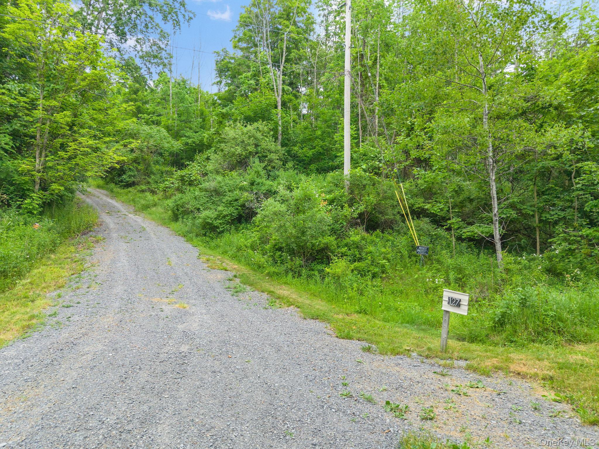 Single Family Grassy Out Of Area, NY 12131, MLS-1013256-37