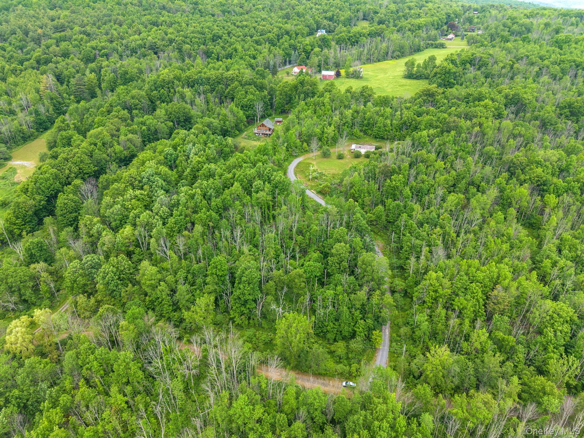 Single Family Grassy Out Of Area, NY 12131, MLS-1013256-38