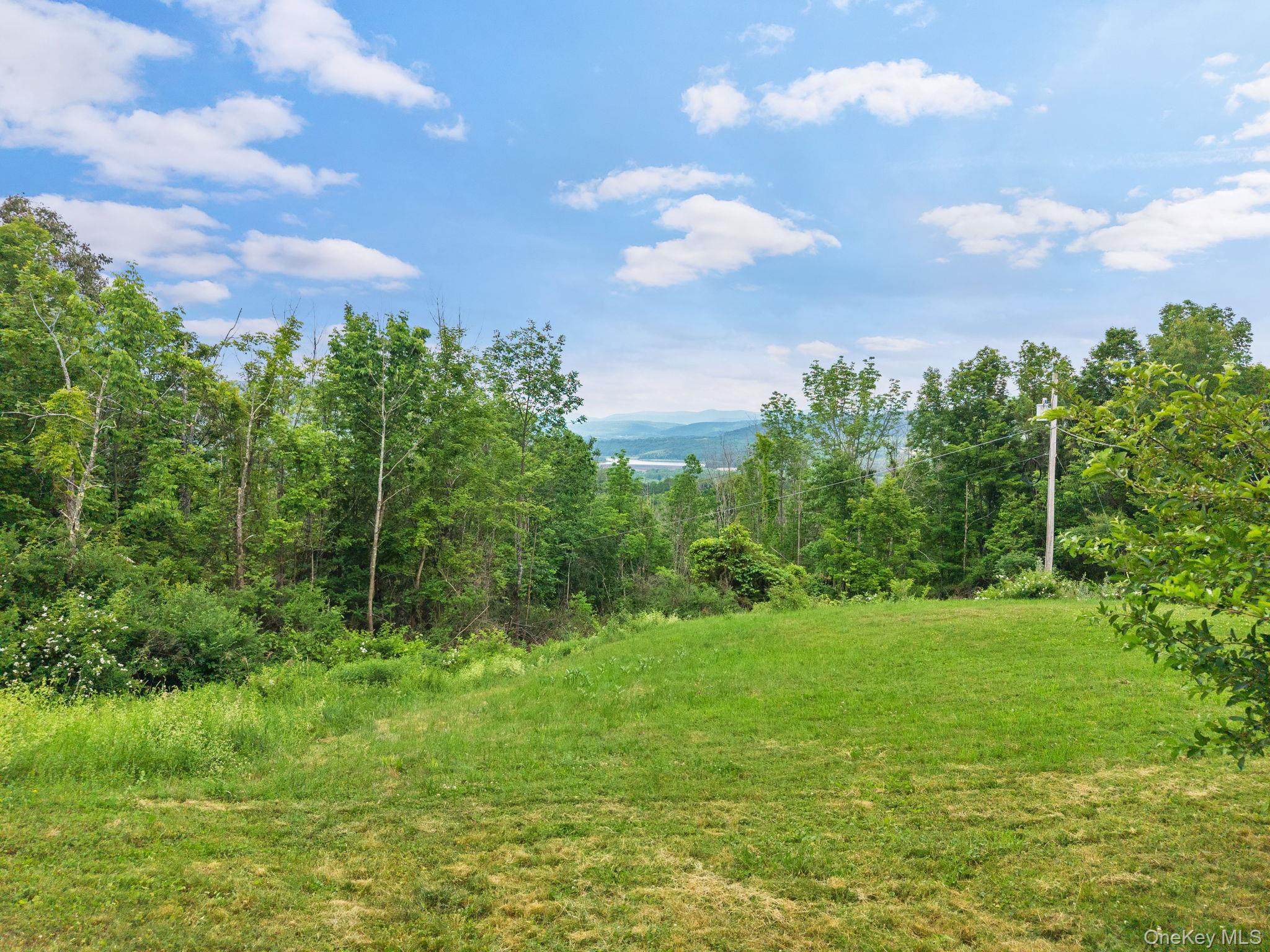 Single Family Grassy Out Of Area, NY 12131, MLS-1013256-39