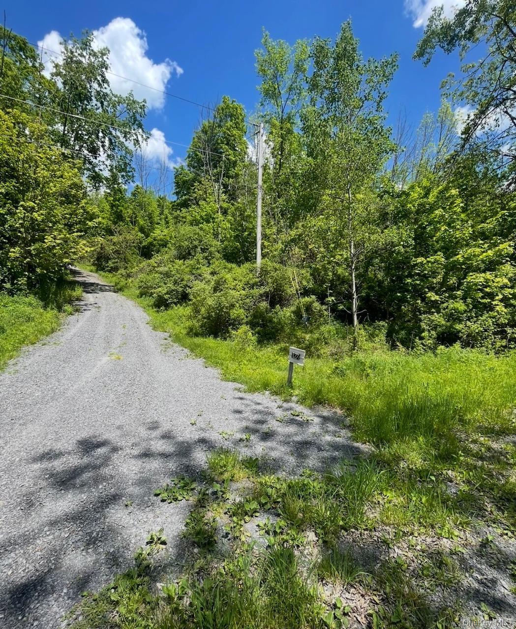 Single Family Grassy Out Of Area, NY 12131, MLS-1013256-4