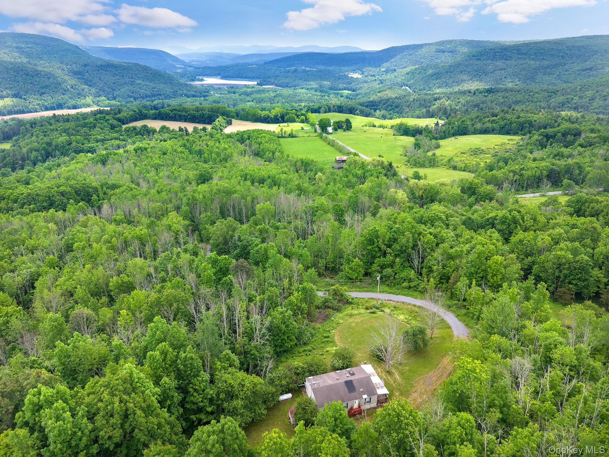 Single Family Grassy Out Of Area, NY 12131, MLS-1013256-40