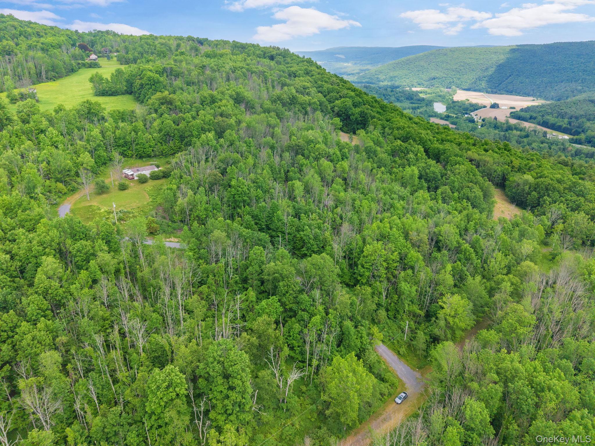 Single Family Grassy Out Of Area, NY 12131, MLS-1013256-42