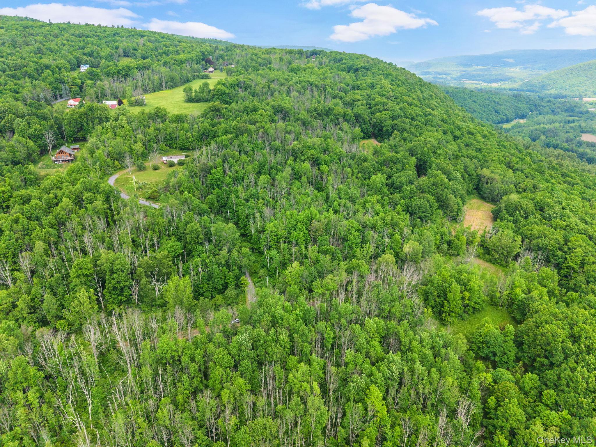 Single Family Grassy Out Of Area, NY 12131, MLS-1013256-43