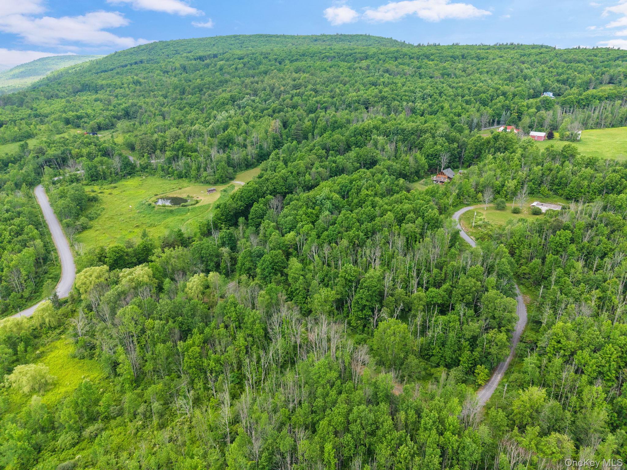 Single Family Grassy Out Of Area, NY 12131, MLS-1013256-44