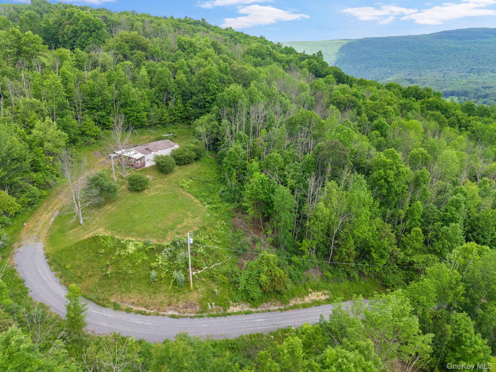 Single Family Grassy Out Of Area, NY 12131, MLS-1013256-5