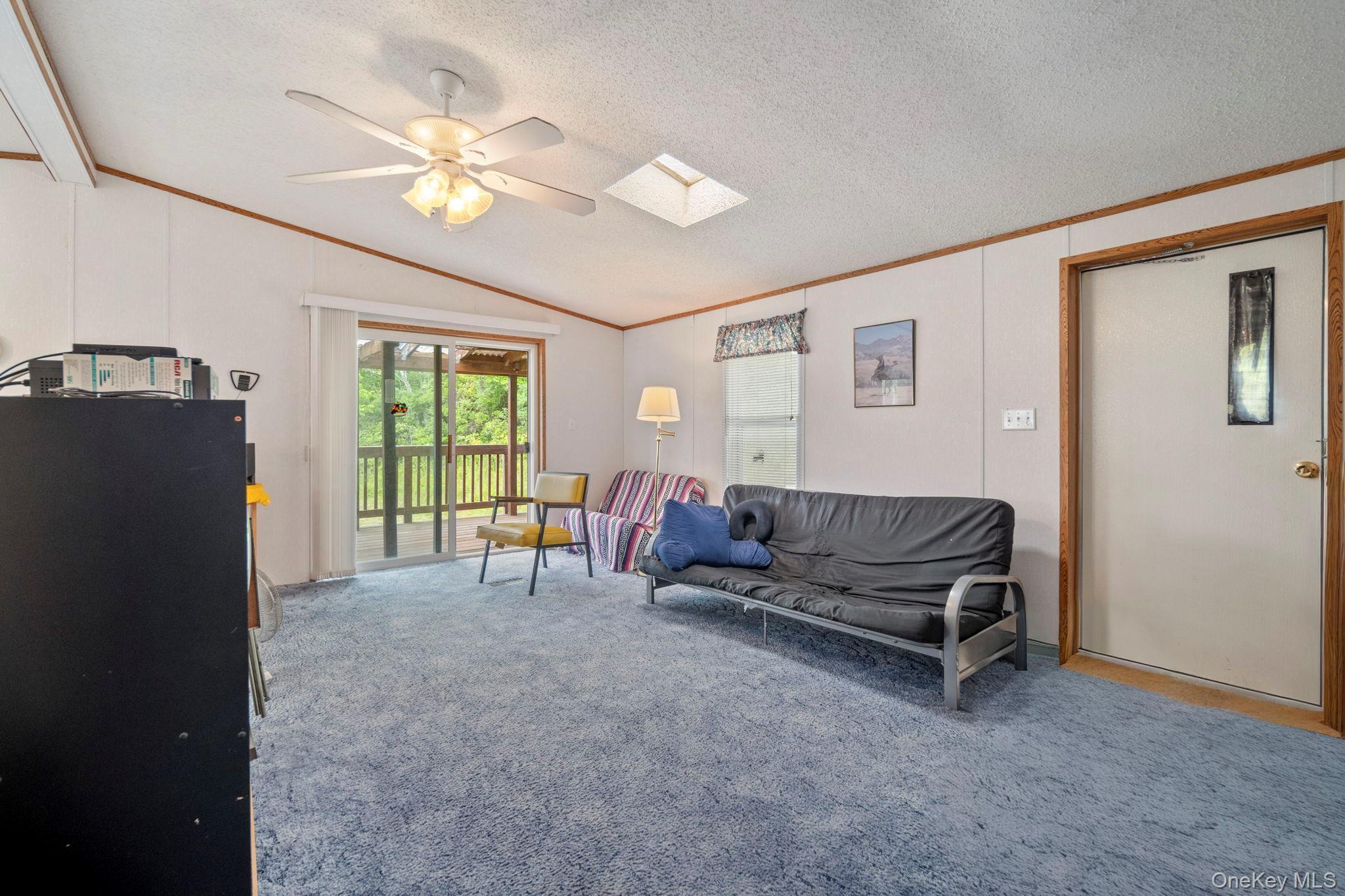 Single Family Grassy Out Of Area, NY 12131, MLS-1013256-7