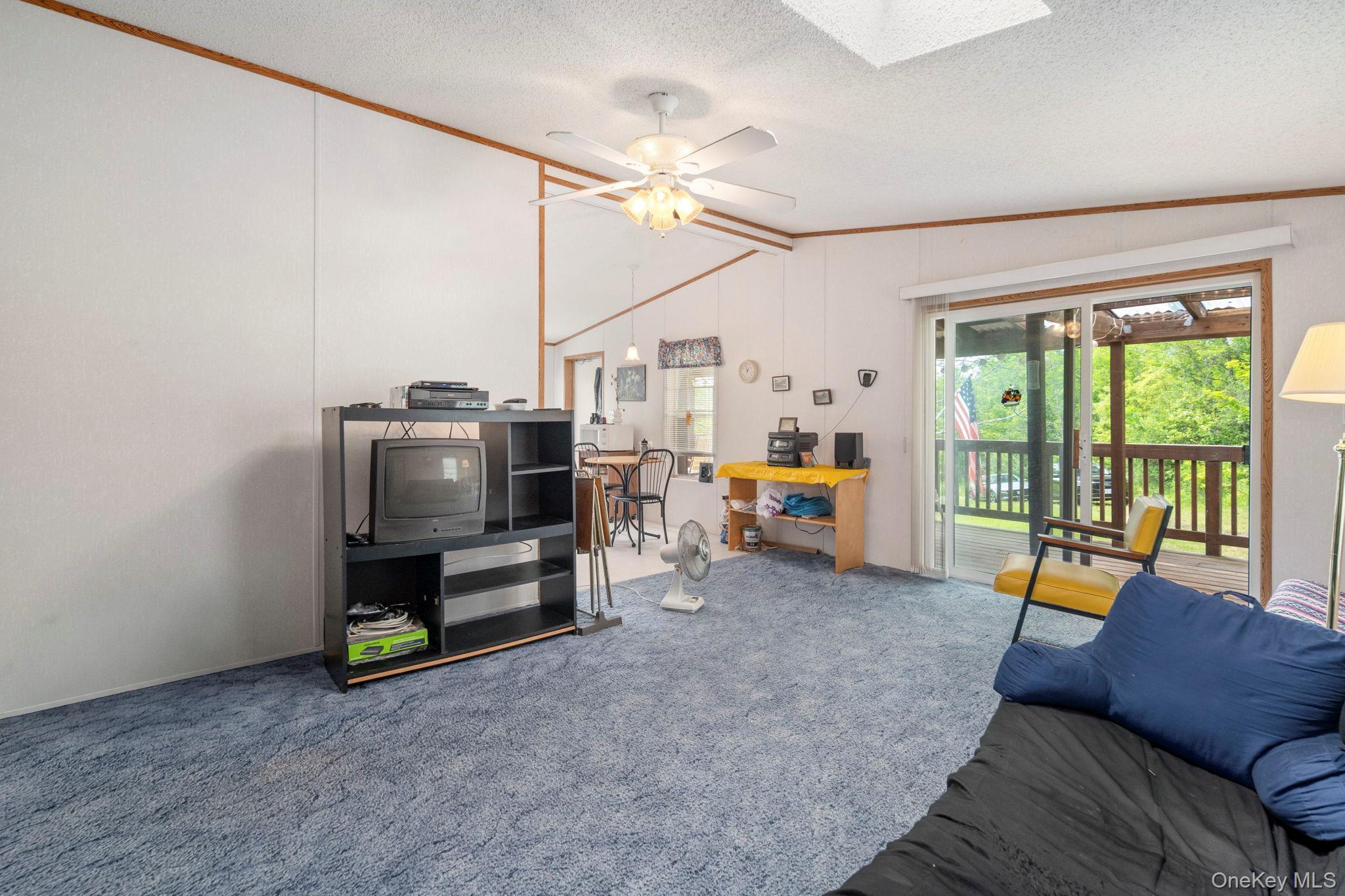 Single Family Grassy Out Of Area, NY 12131, MLS-1013256-8