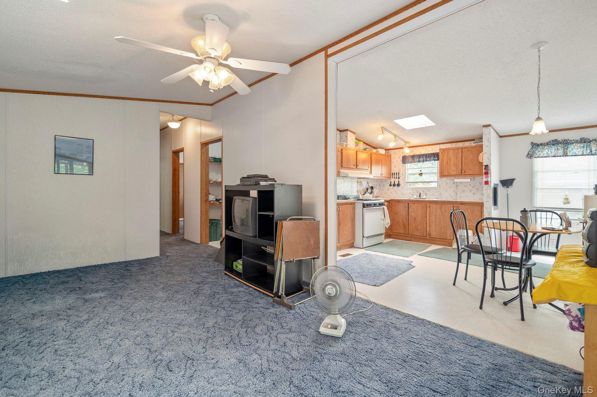Single Family Grassy Out Of Area, NY 12131, MLS-1013256-9