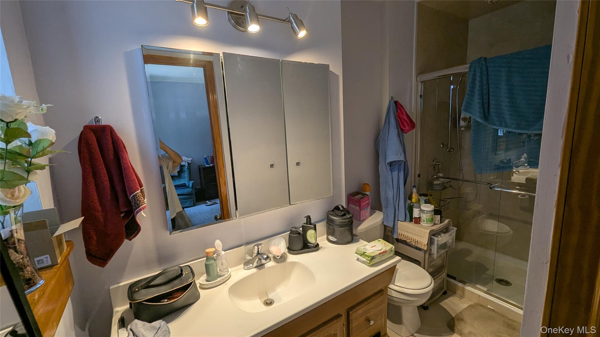 Single Family Dyckman Drive Westchester County, NY 10547, MLS-1013259-23