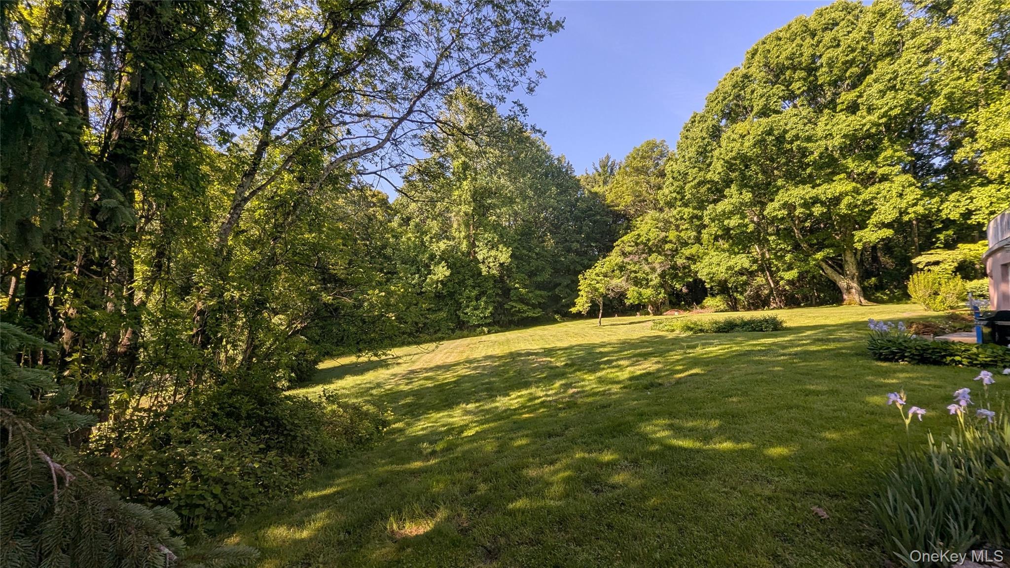 Single Family Dyckman Drive Westchester County, NY 10547, MLS-1013259-7