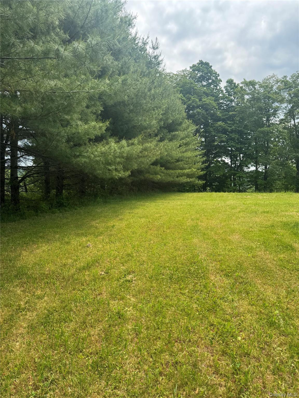 Single Family Lenape Lake Road  Sullivan County, NY 12758, MLS-1013294-13