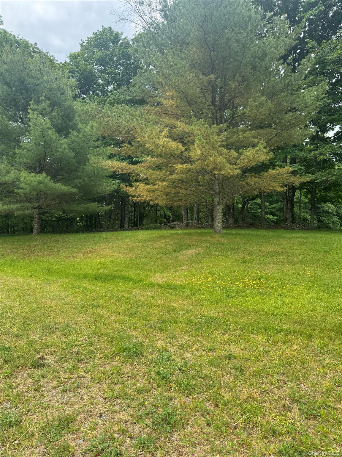 Single Family Lenape Lake Road  Sullivan County, NY 12758, MLS-1013294-14