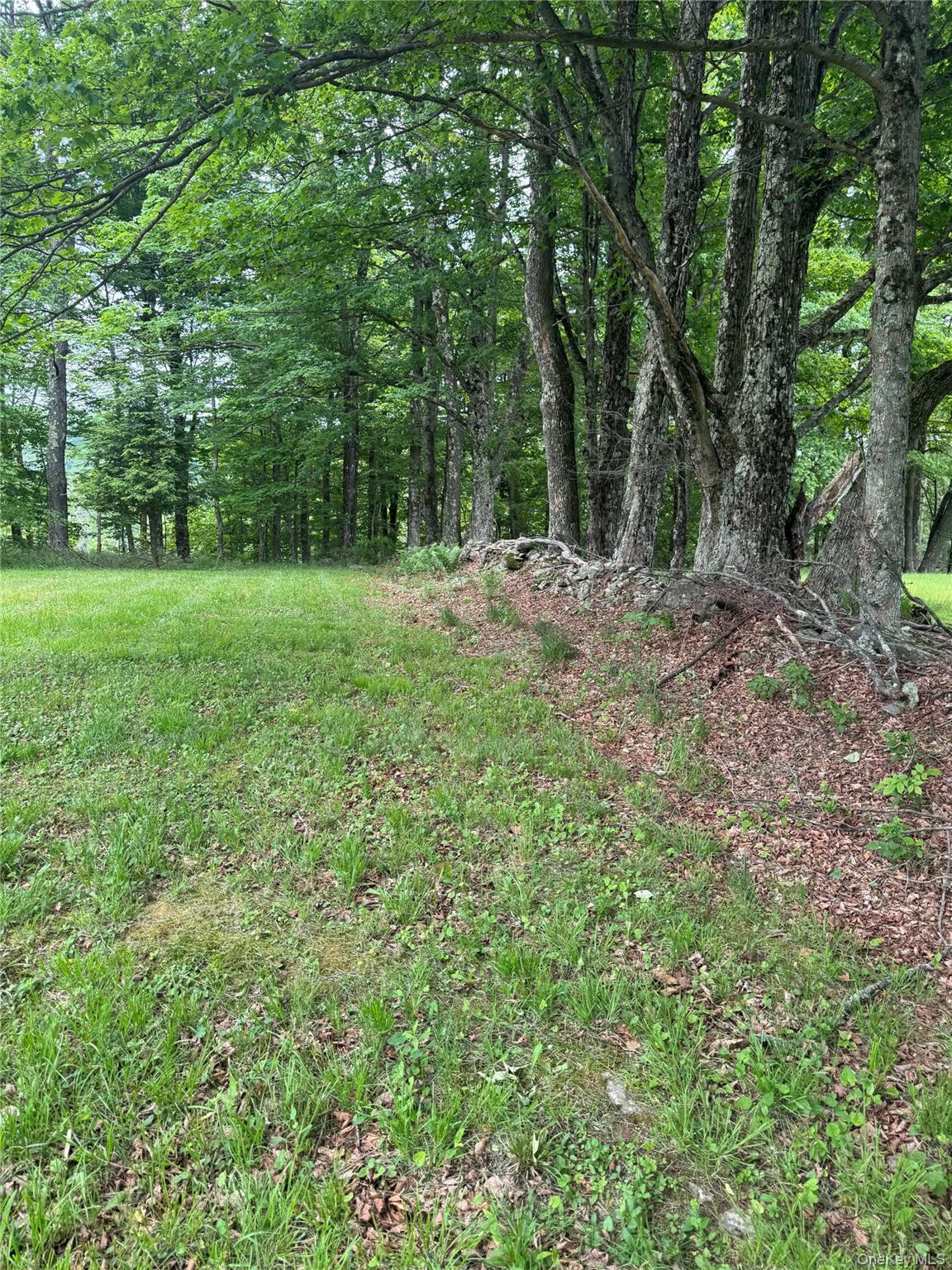 Single Family Lenape Lake Road  Sullivan County, NY 12758, MLS-1013294-15