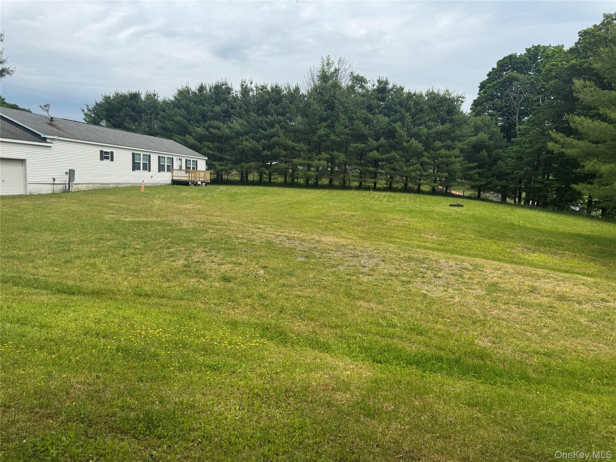 Single Family Lenape Lake Road  Sullivan County, NY 12758, MLS-1013294-17