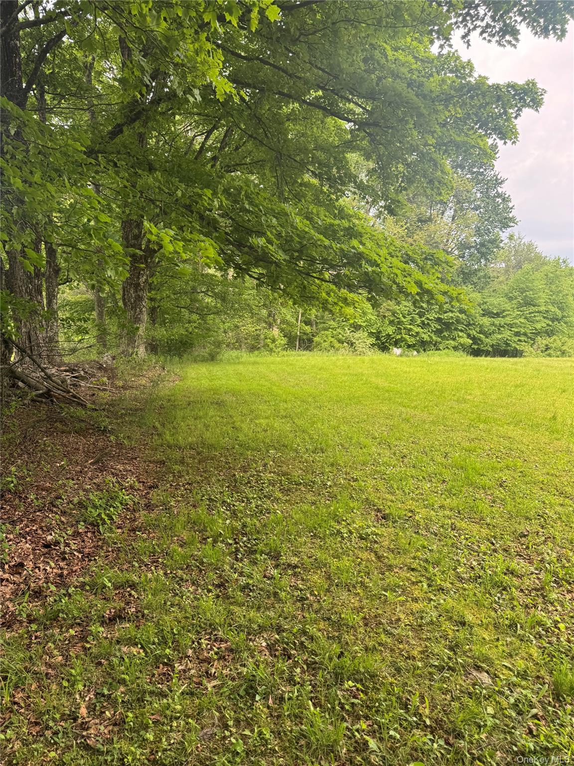 Single Family Lenape Lake Road  Sullivan County, NY 12758, MLS-1013294-27
