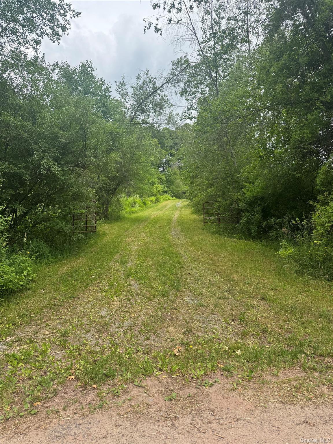 Single Family Lenape Lake Road  Sullivan County, NY 12758, MLS-1013294-3